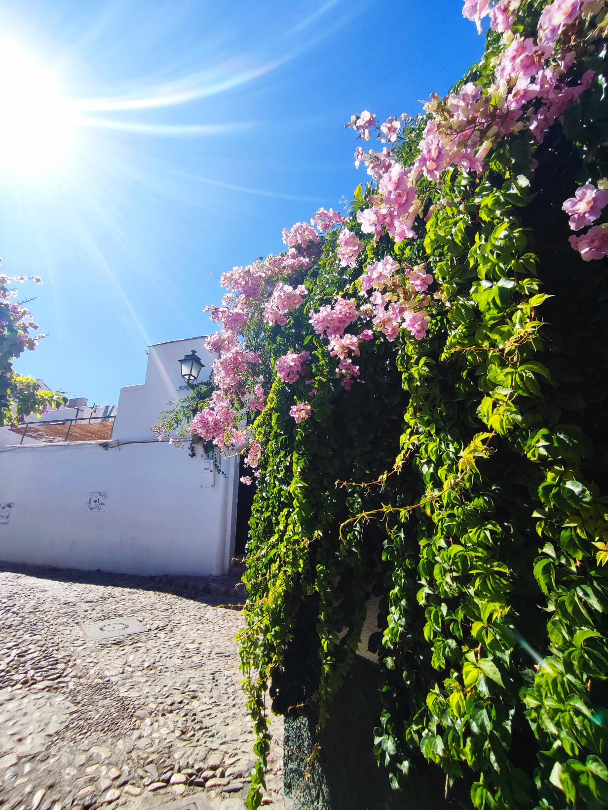 granada_03.jpg